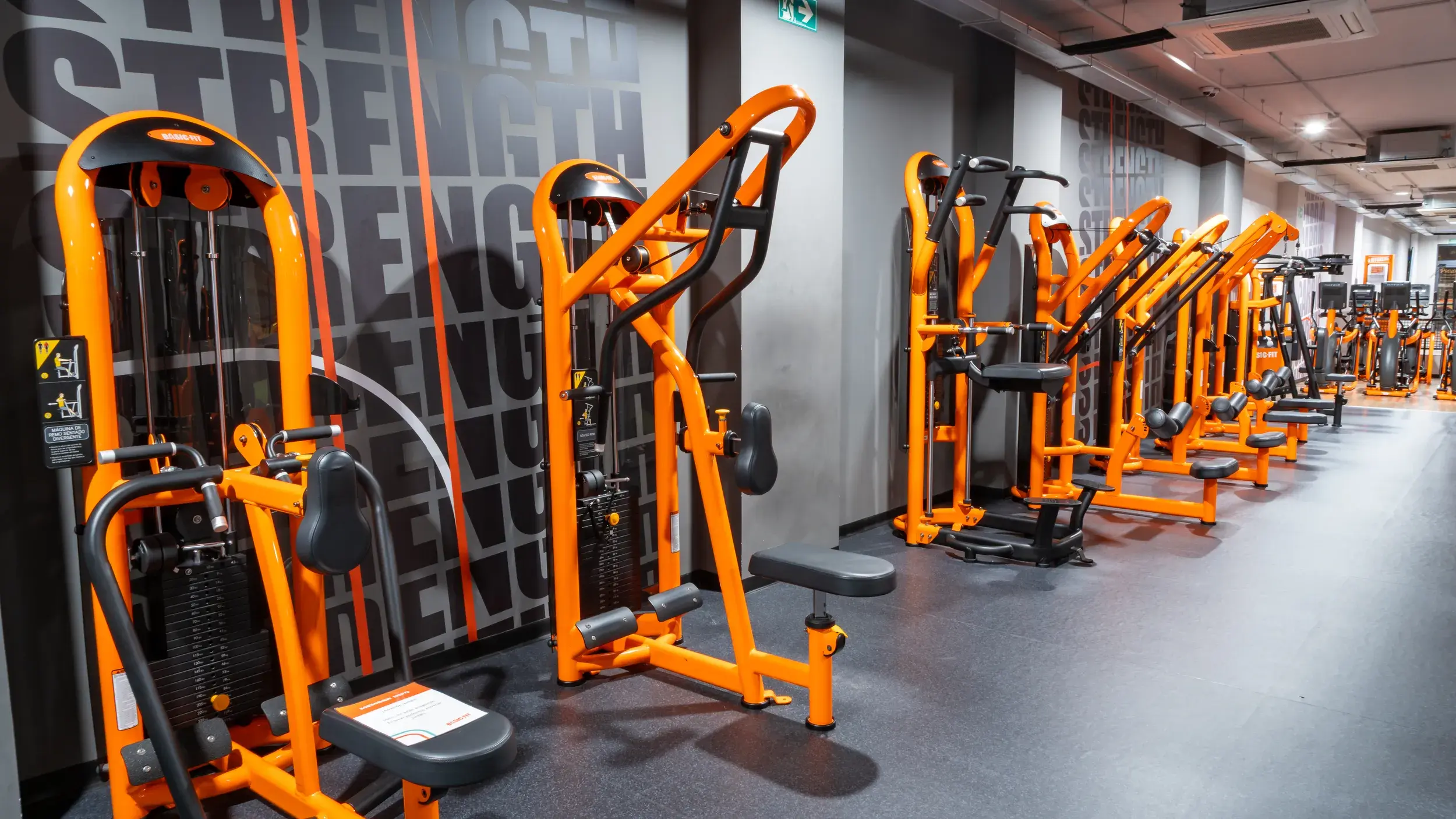 Galería de imágenes