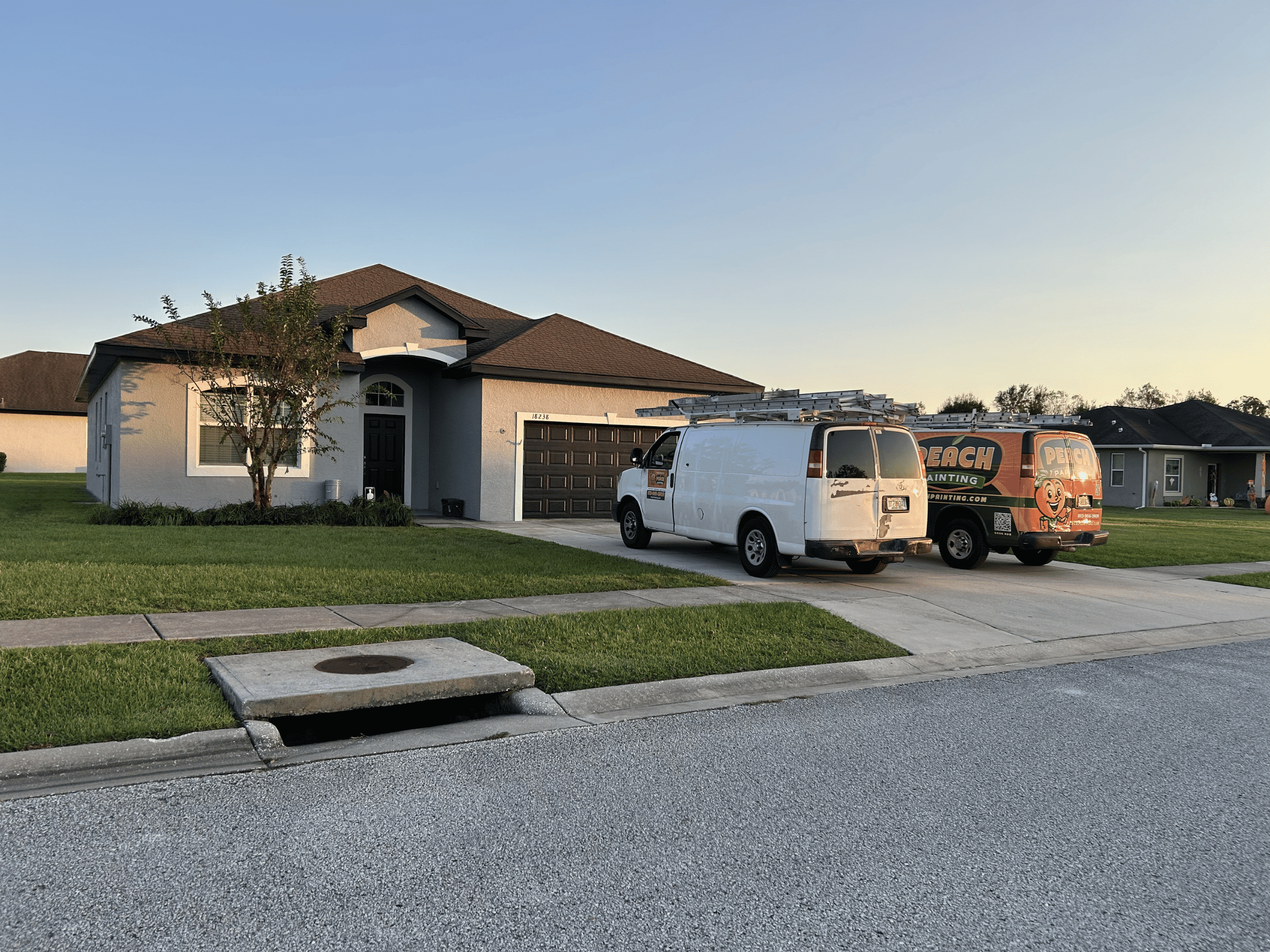 Peach Painting Image