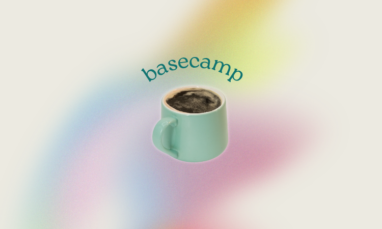 Basecamp Drip