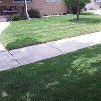 Extreme Landscaping LLC Photo