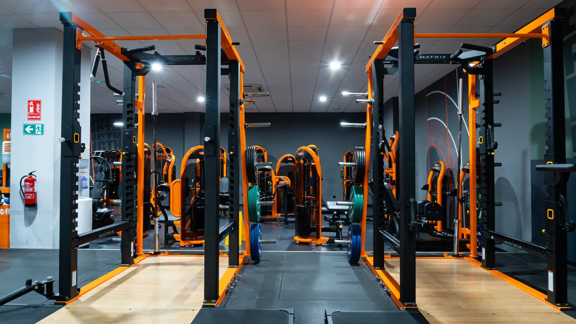 Galería en miniatura