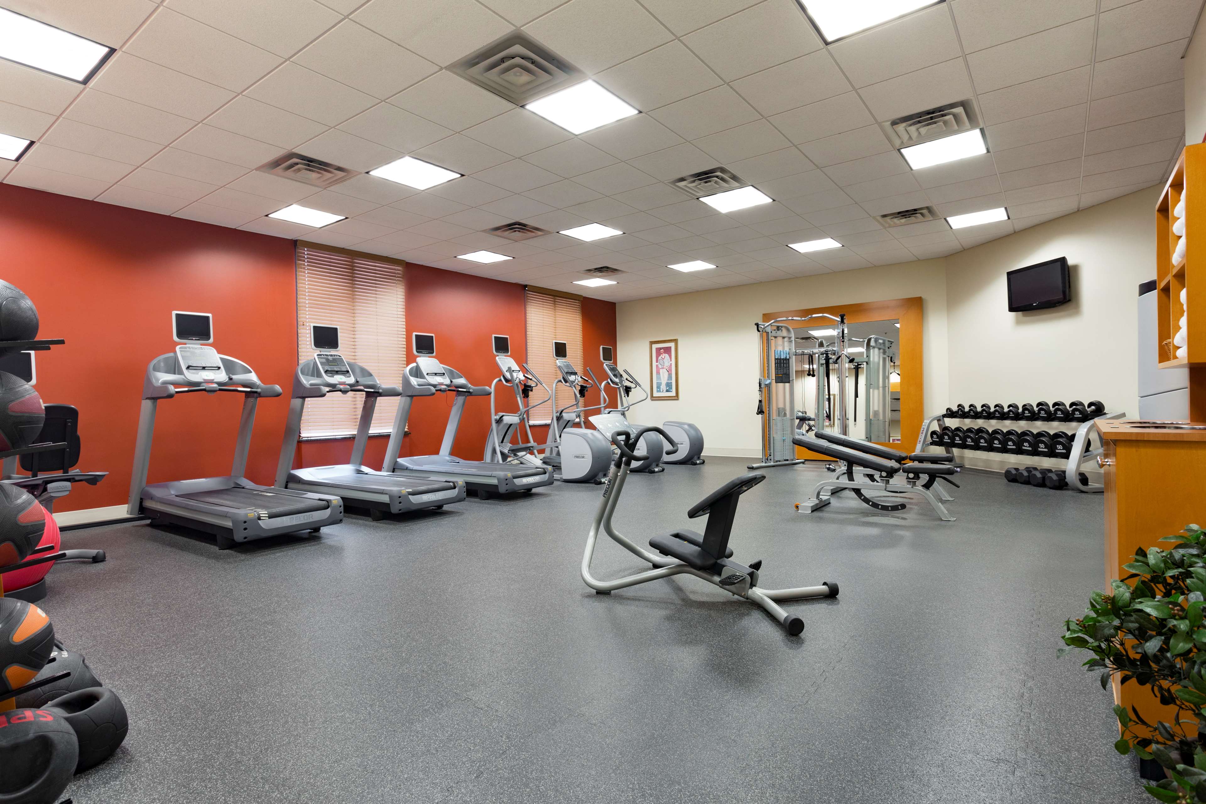 Health club  fitness center  gym