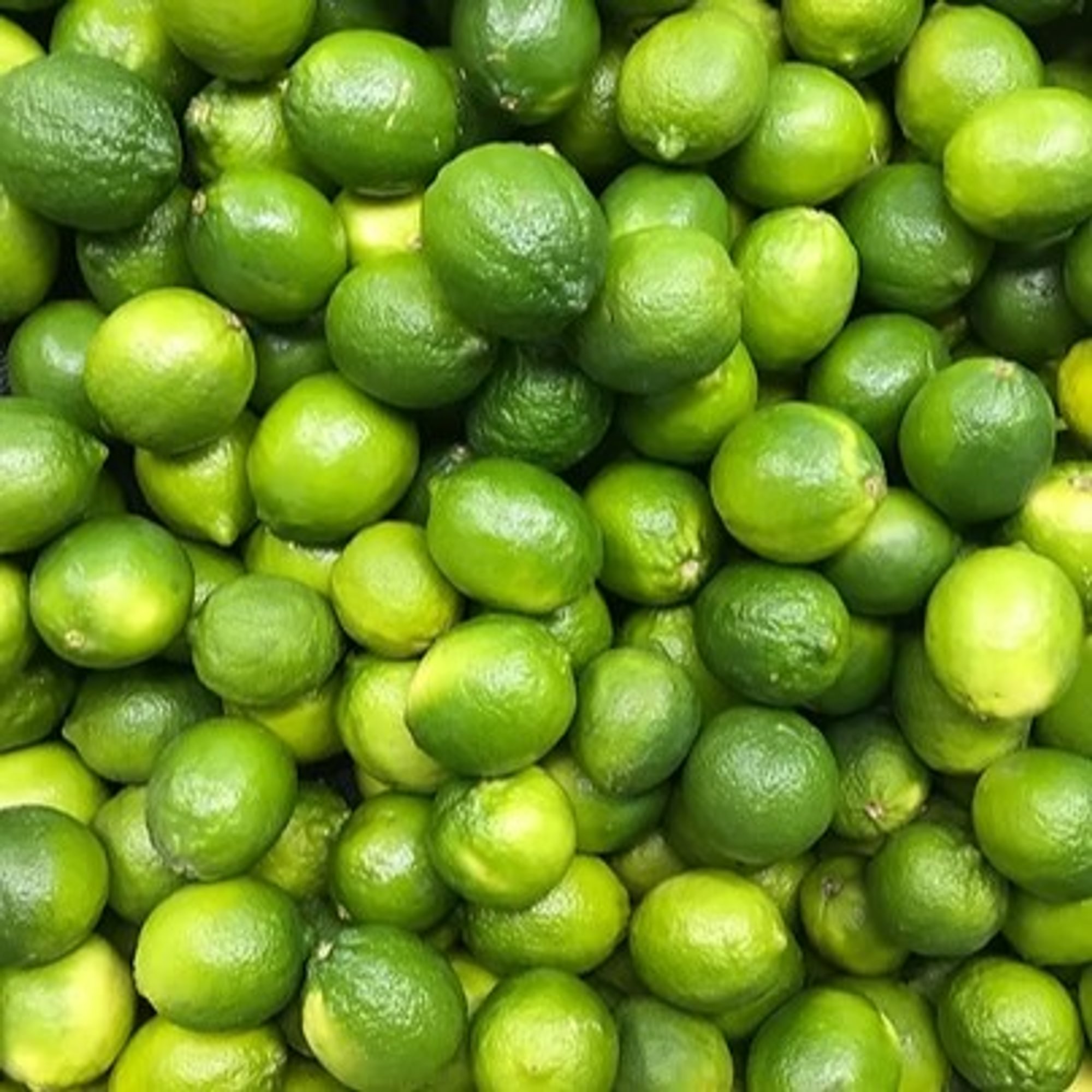 Persian Lime Olive Oil