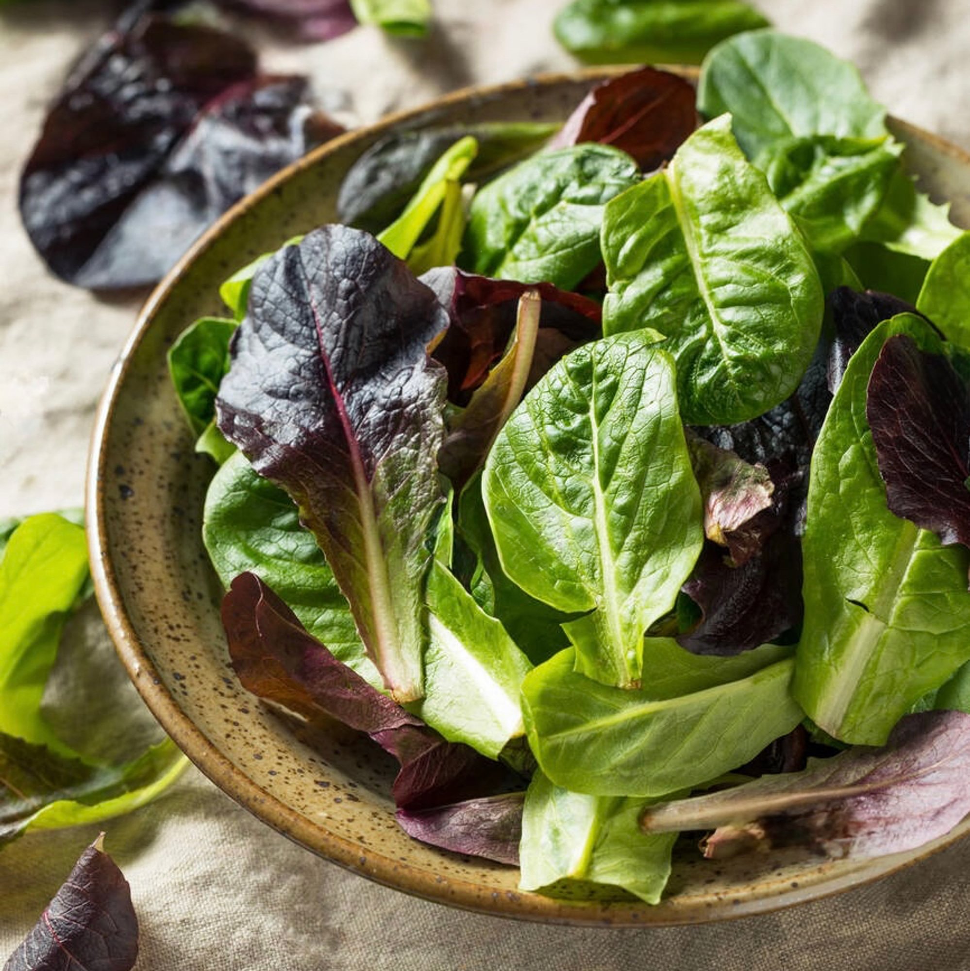Baby Organic Greens Salad