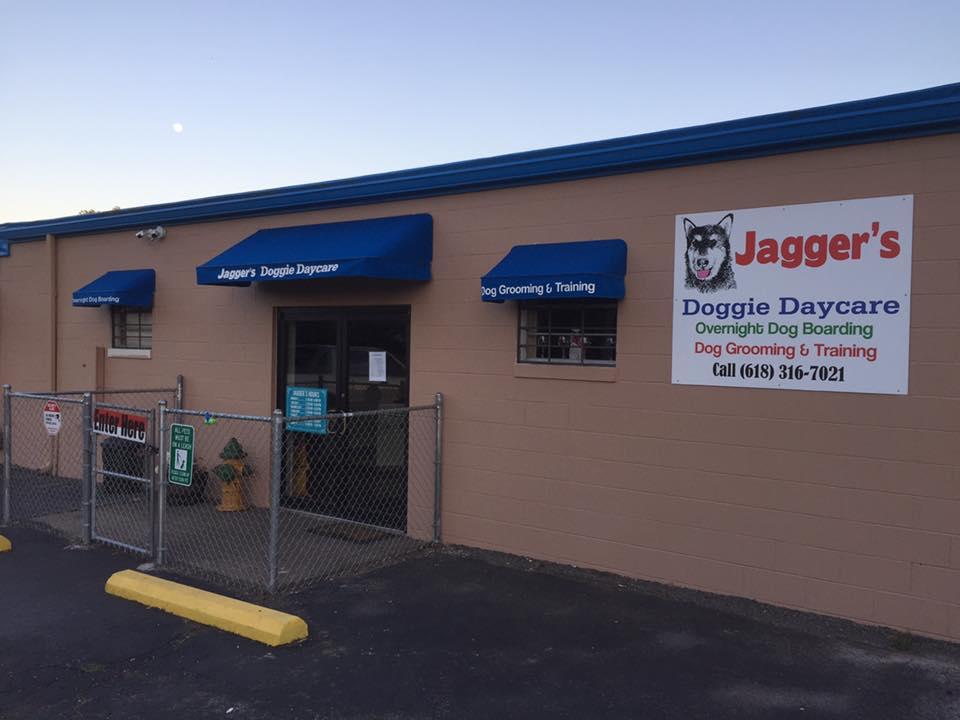 Jagger's Doggie Daycare, Dog Grooming, Training & Boarding Photo