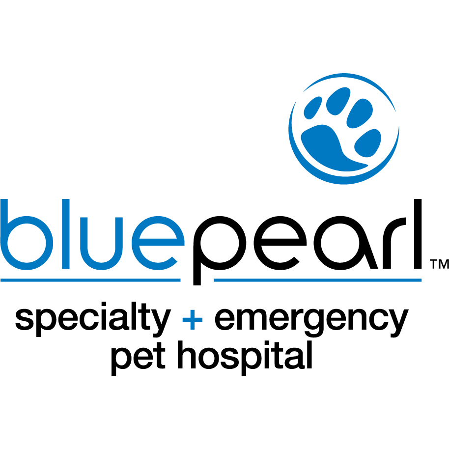 blue pearl emergency animal hospital