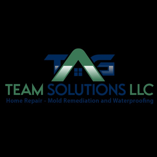 TAG Team Solutions LLC Logo