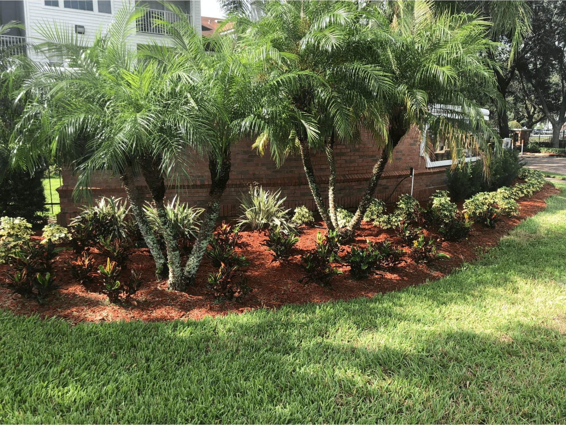 Sunstate Landscape Solutions Image