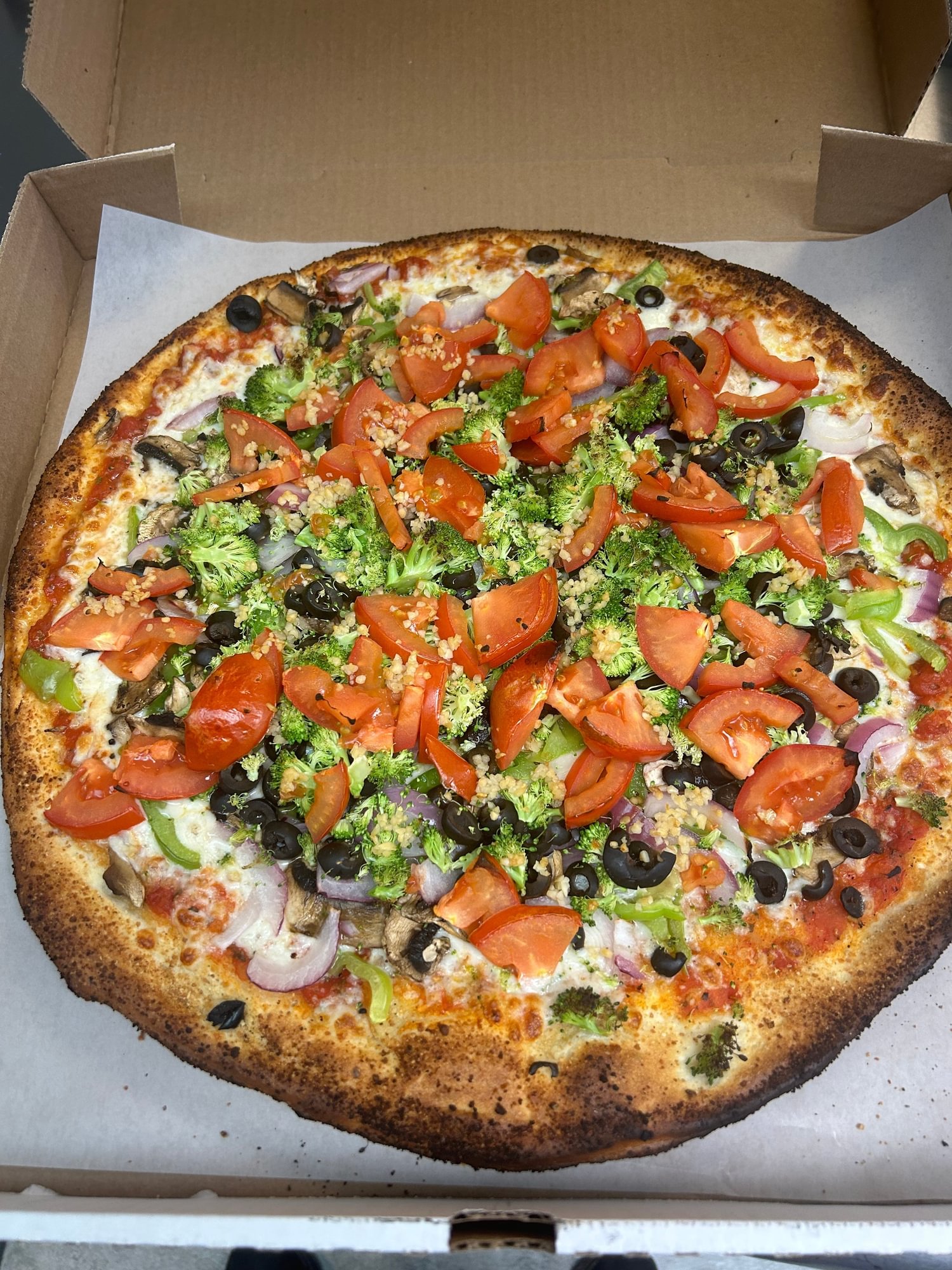 Large 16" Pick Up