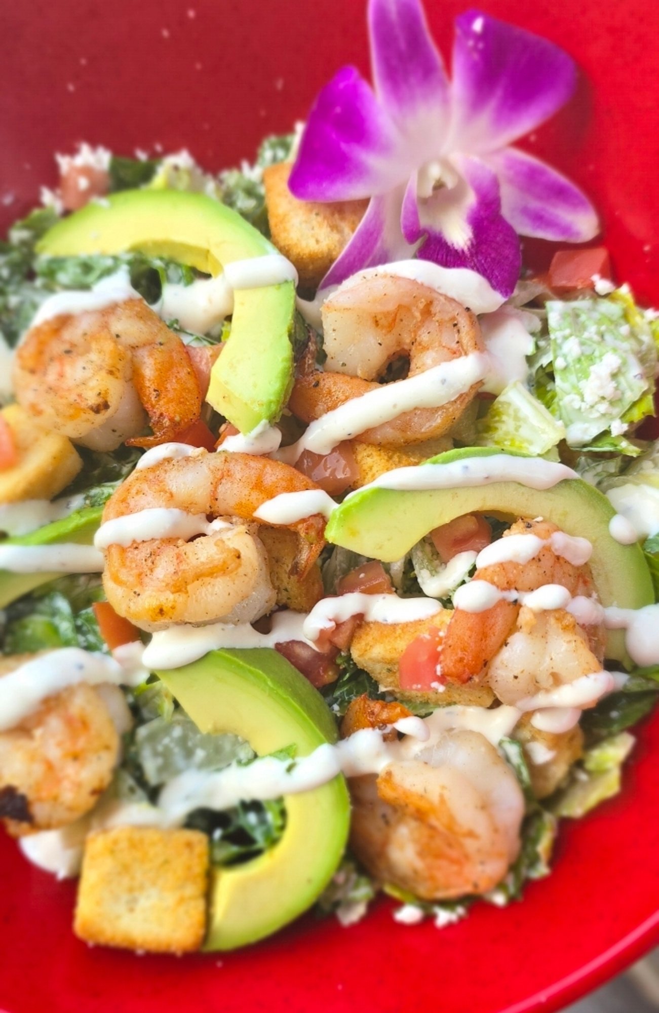 Cesar Salad