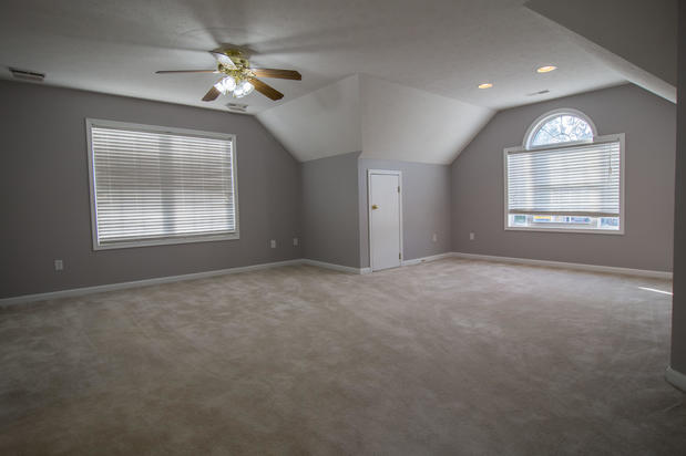 Images Appaloosa Painting Co