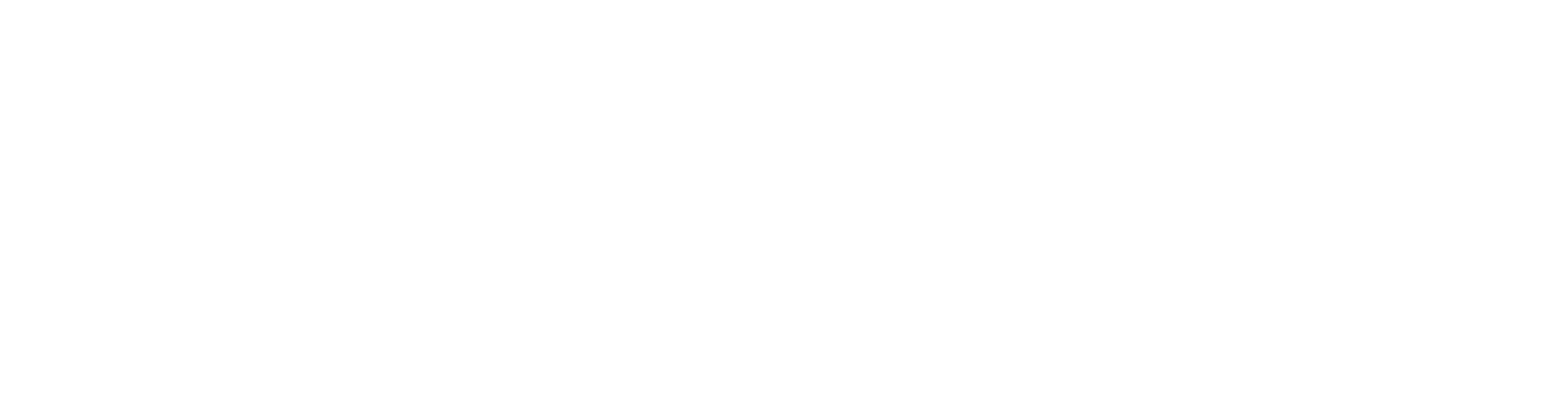 bluefrog of North Phoenix footer logo