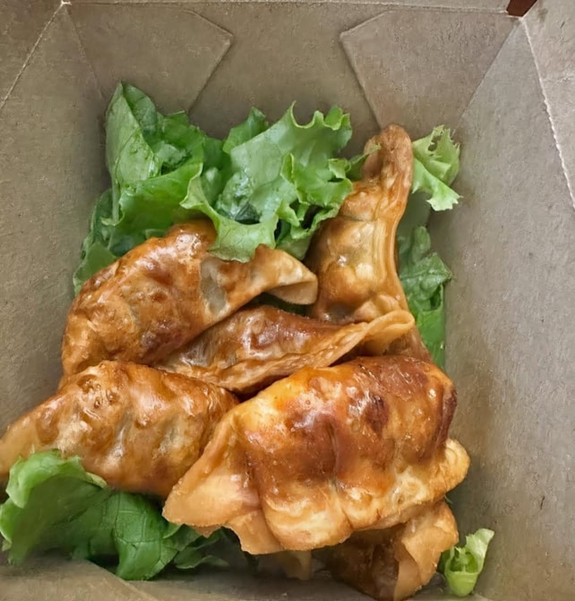 Pork & Veggie Dumpling (Fried)