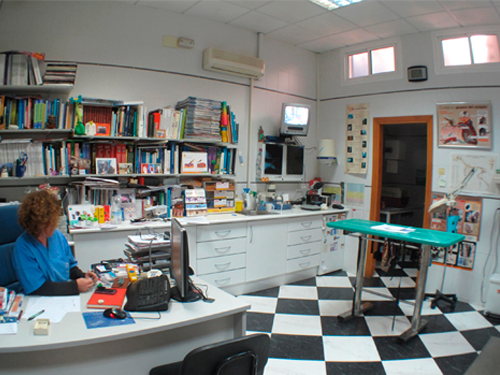 Galería en miniatura