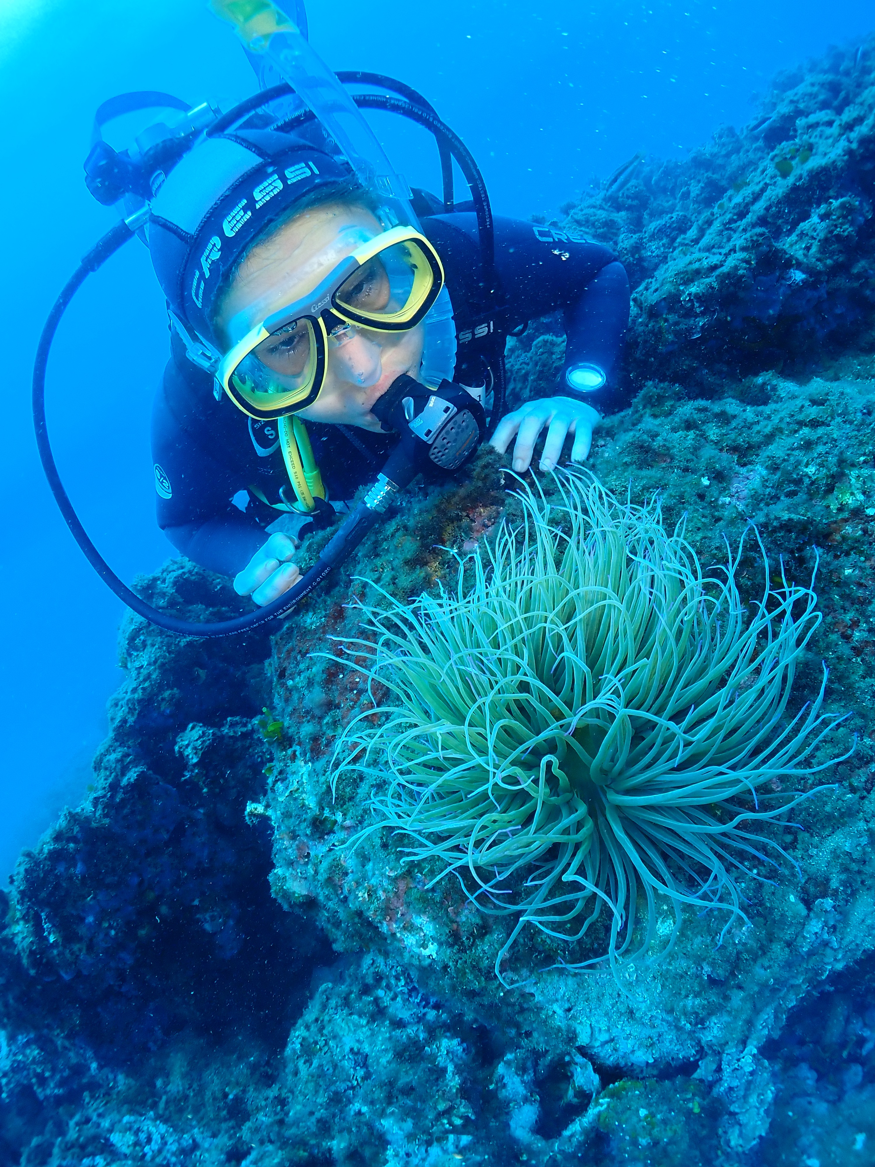 Images Blaumar Dive Center