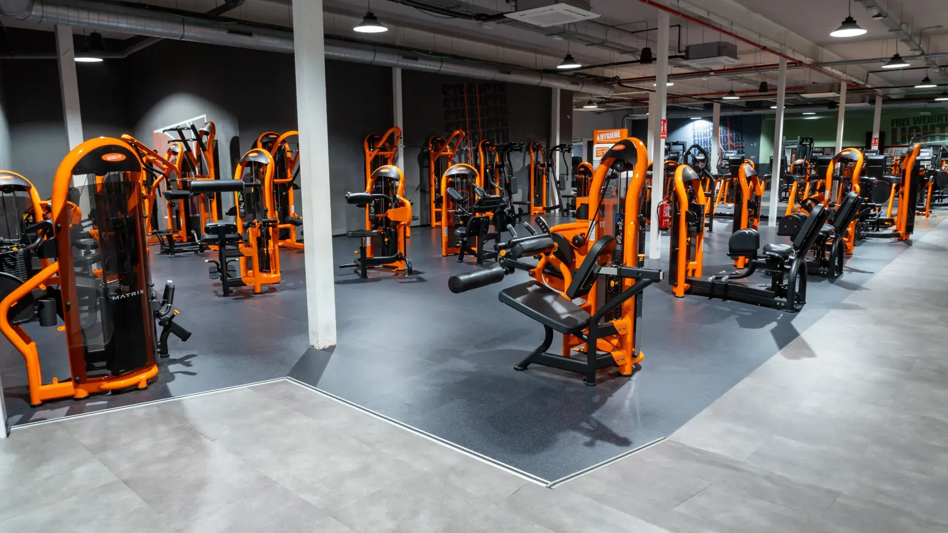 Galería de imágenes