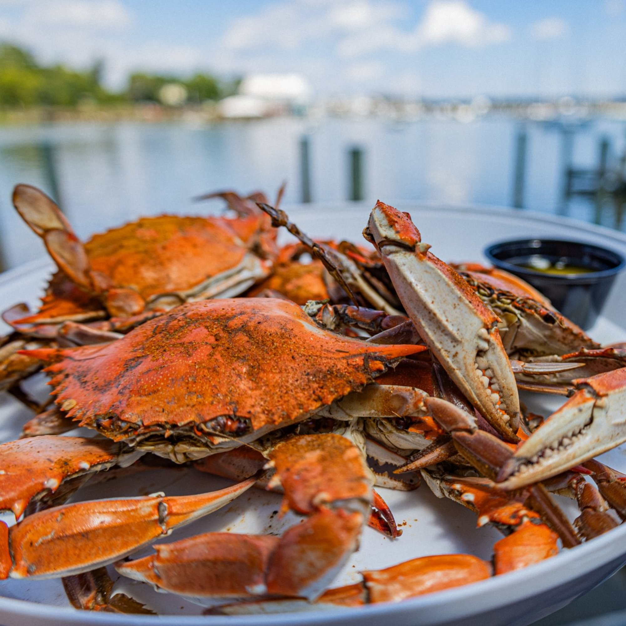 Blue Crabs