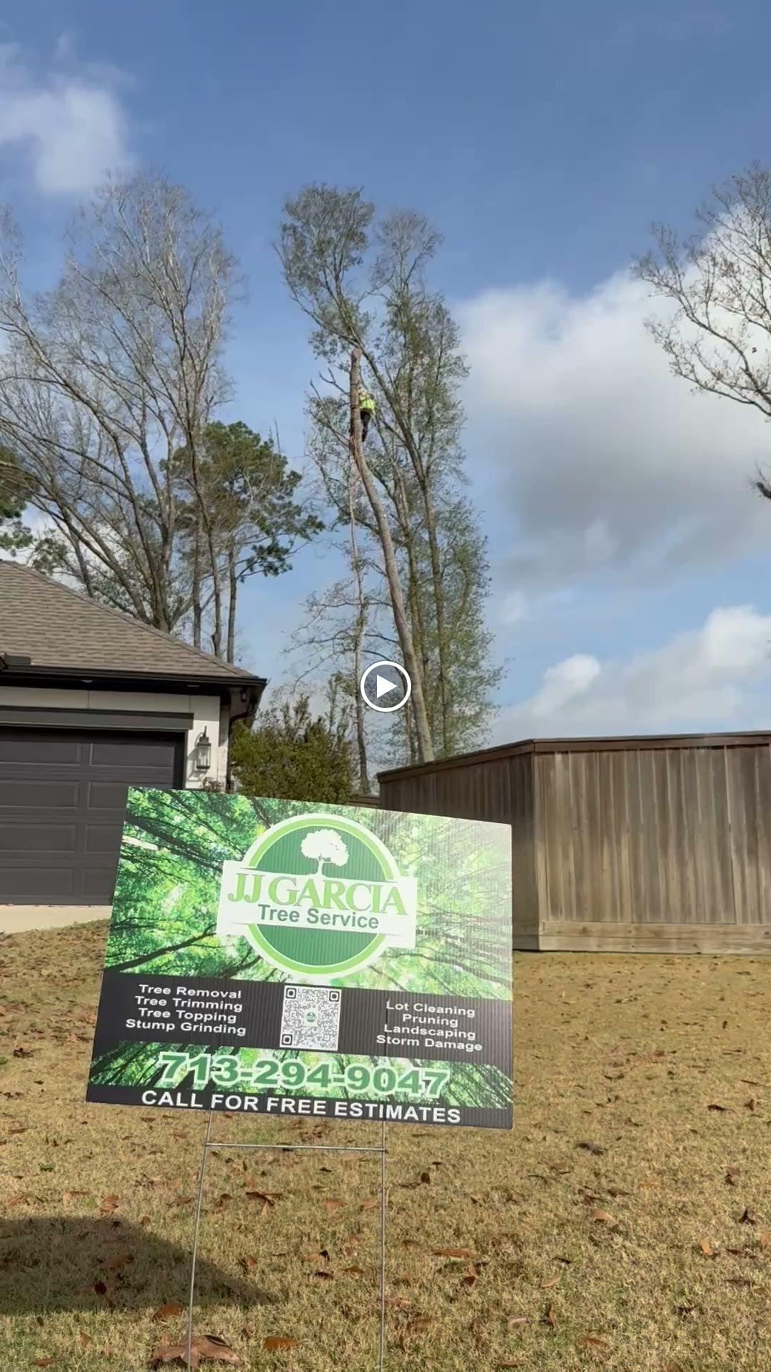 JJ Garcia Professional Tree Service Image