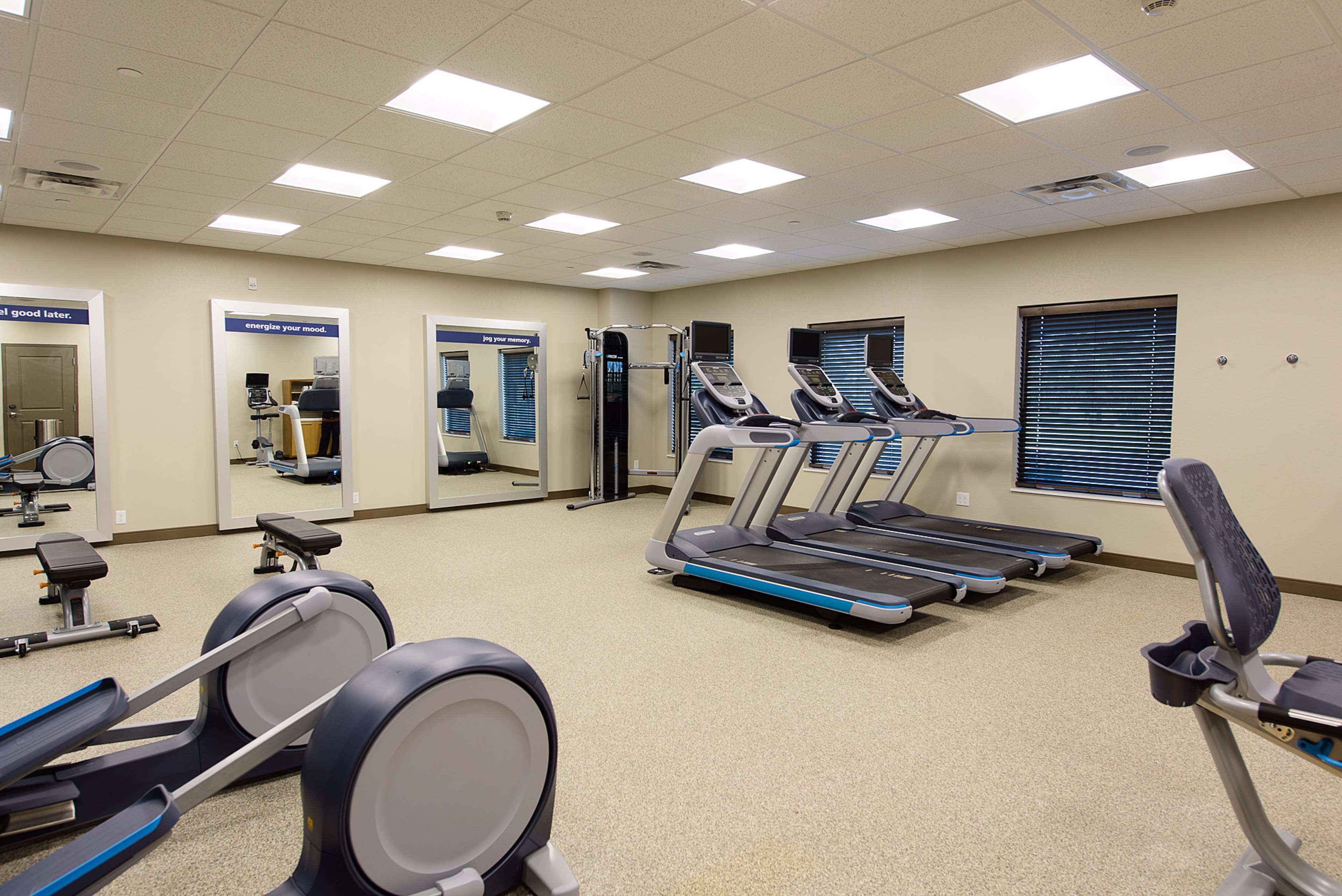 Health club  fitness center  gym