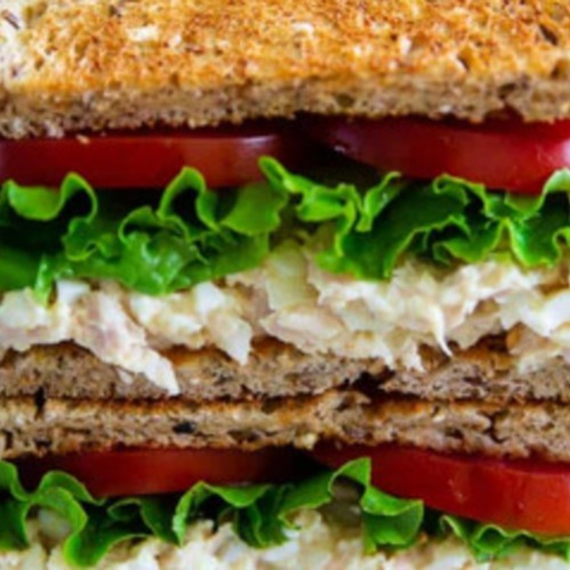 Tuna Salad Sandwich