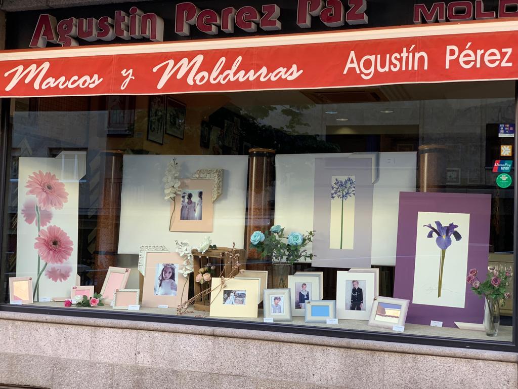 Galería en miniatura