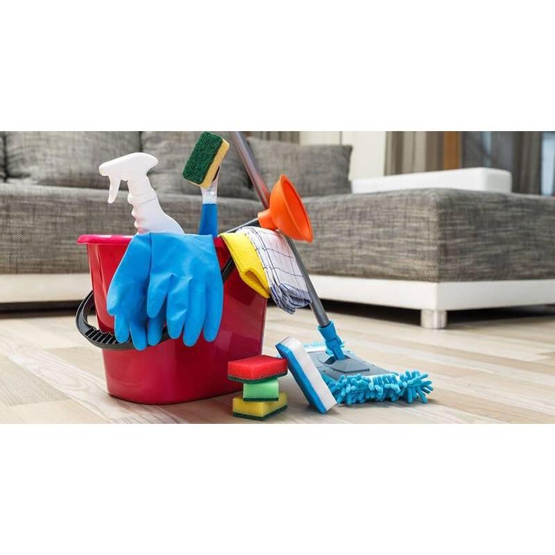 Squeaky Queen Cleaning Services Logo