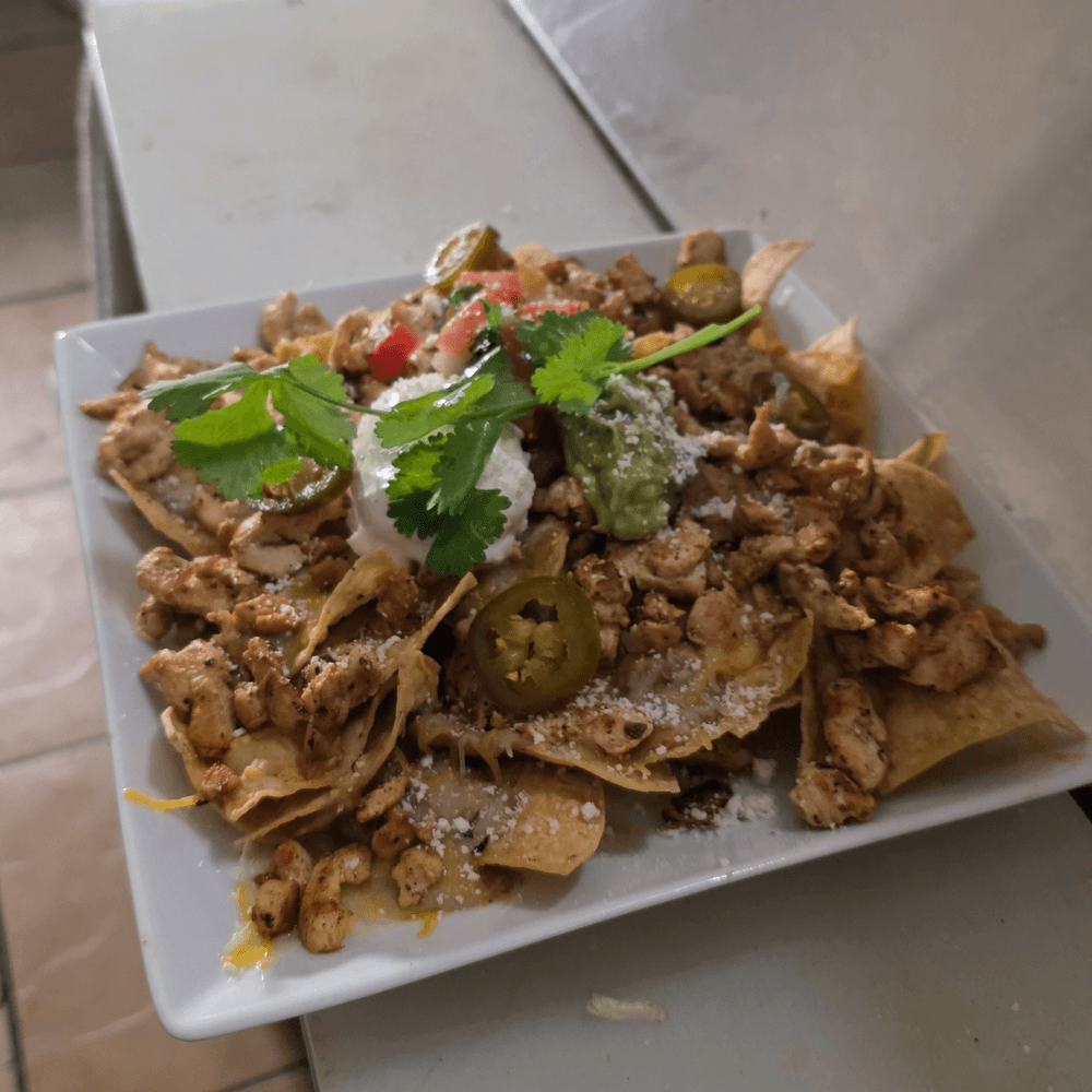 Carne Asada Fries