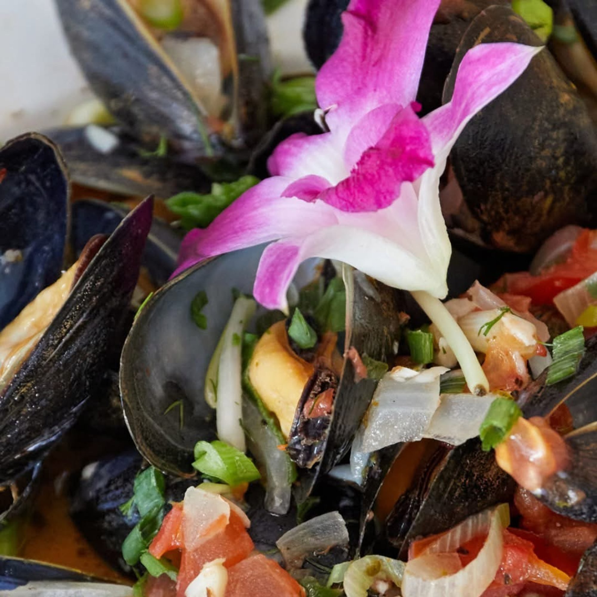 Mussels