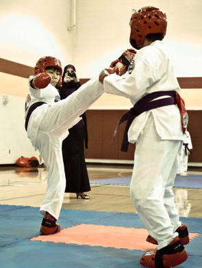 Fort Bend Taekwondo- Katy/Richmond, TX Photo