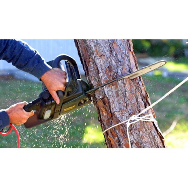 Action Tree Service