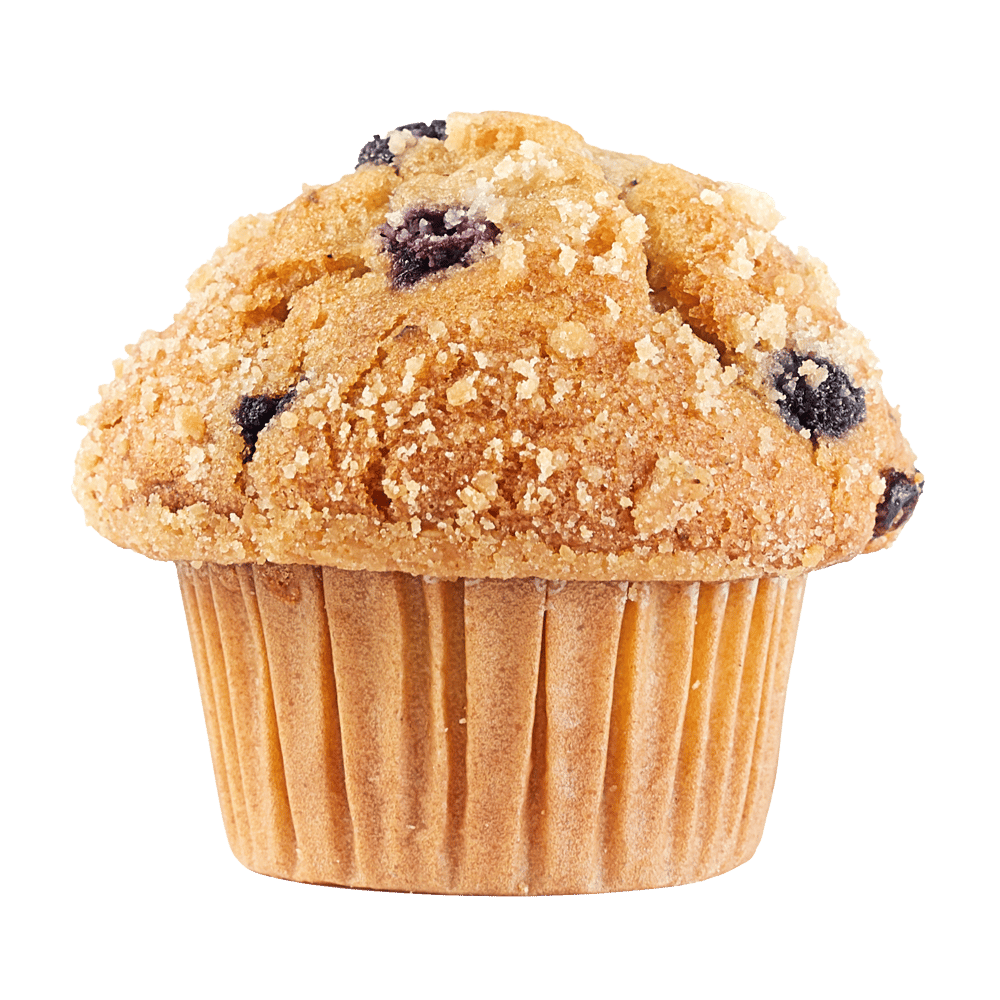 Blueberry Muffin