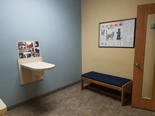 Images Cat Care PC of Rochester Hills