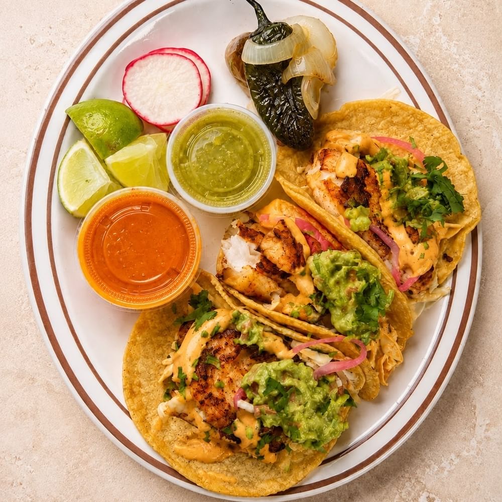 Tilapia