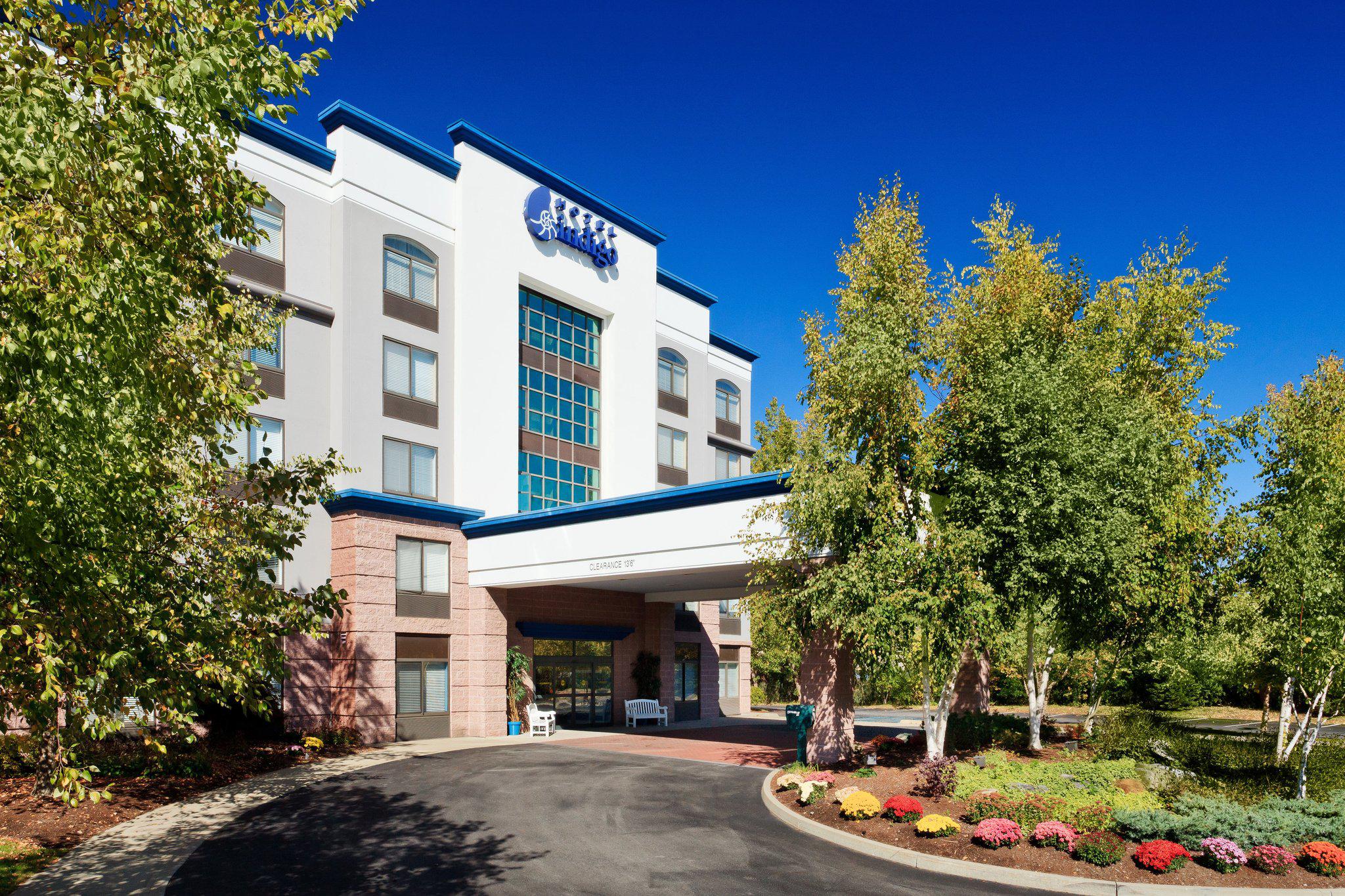 Hotel Indigo Albany Airport - Wolf Road Photo