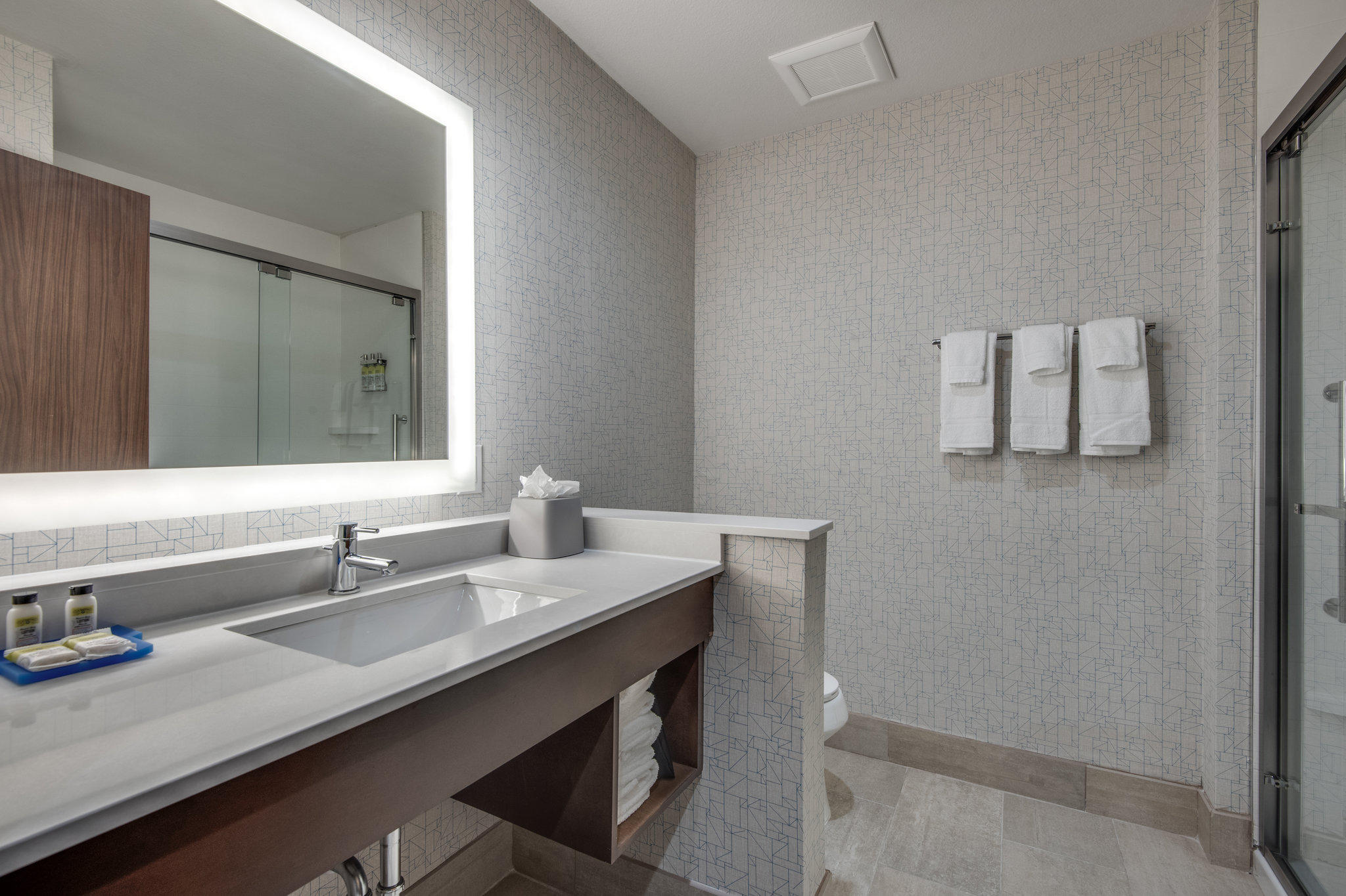 Holiday Inn Express & Suites Dallas North - Addison Photo