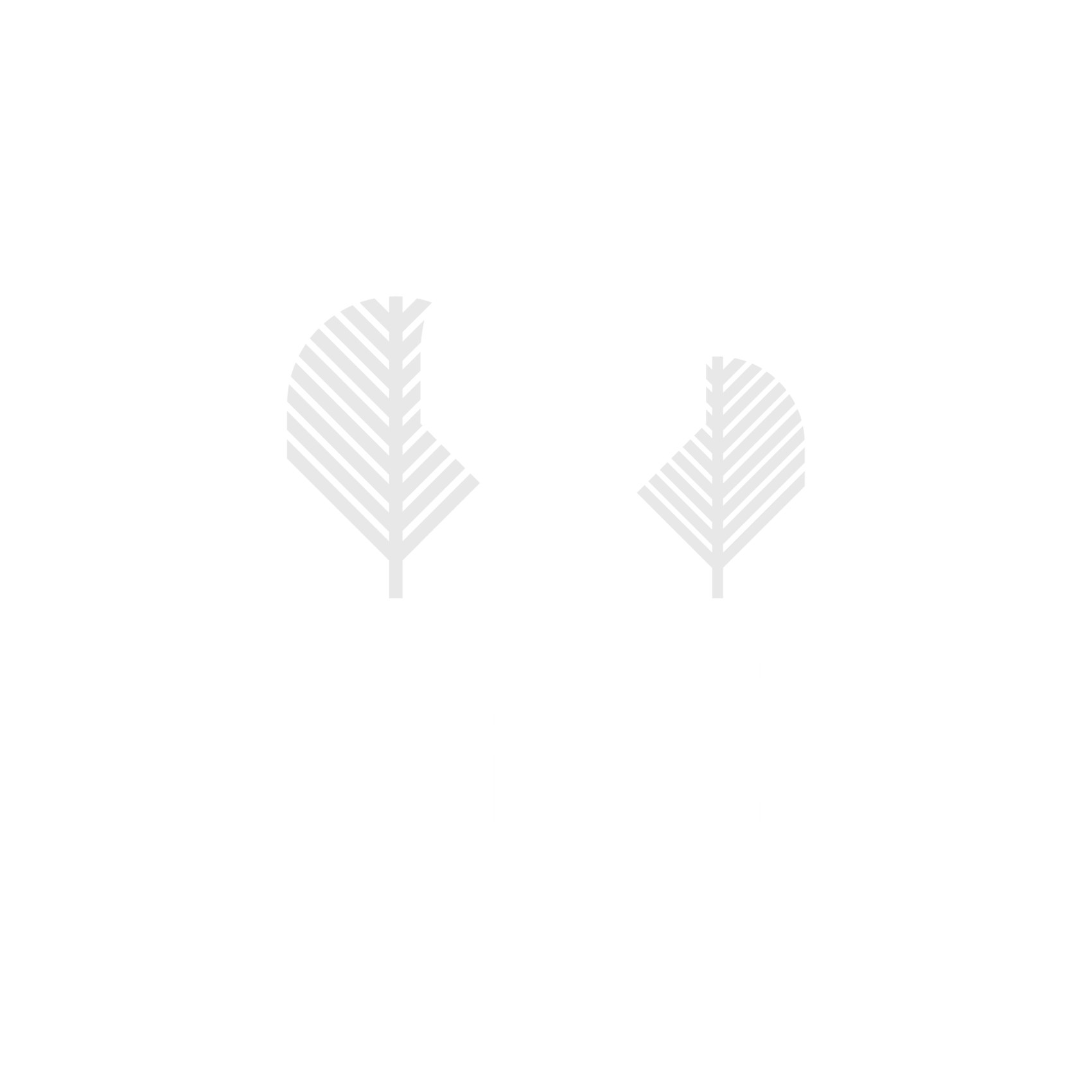 Forestry Court Logo