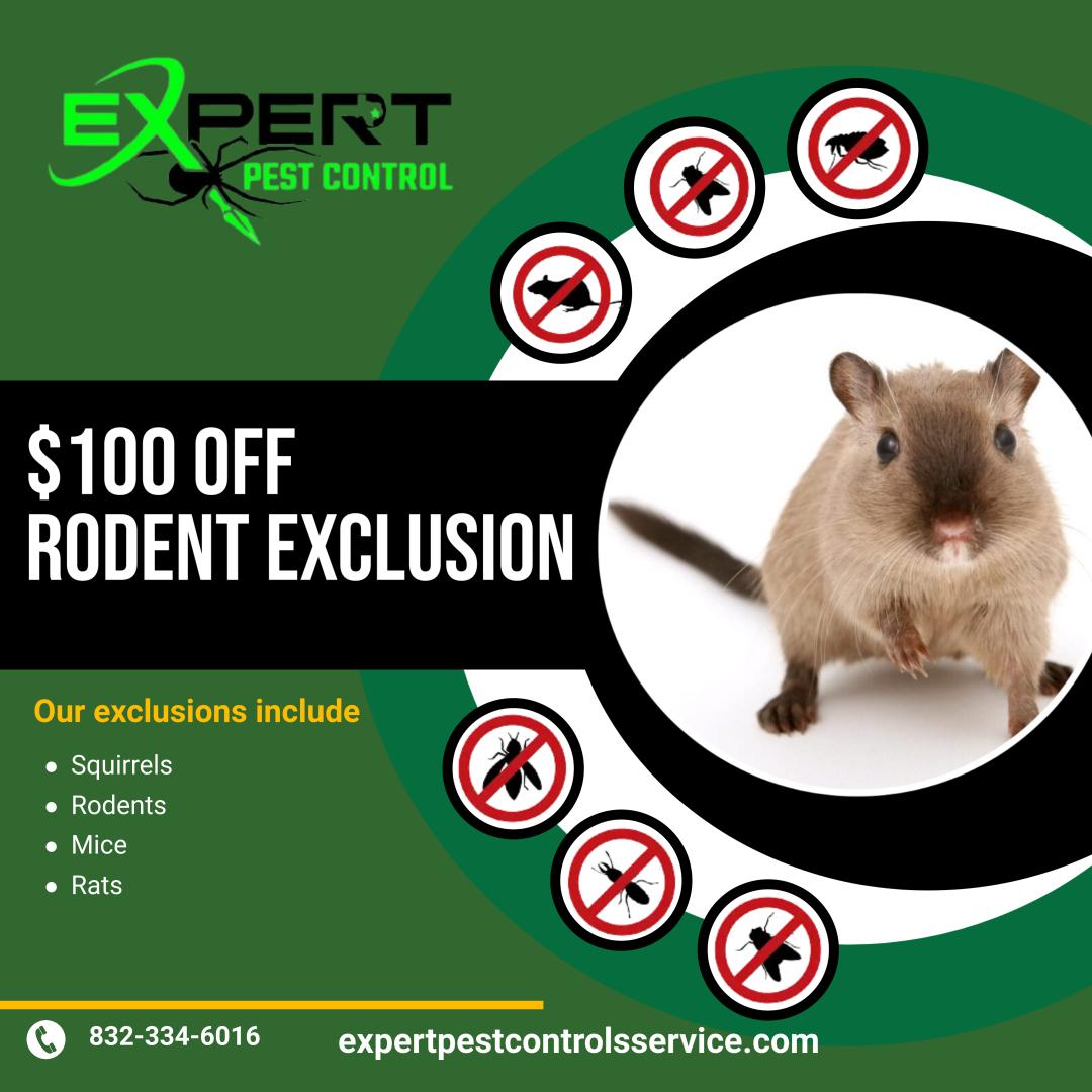 Expert Pest Control Image