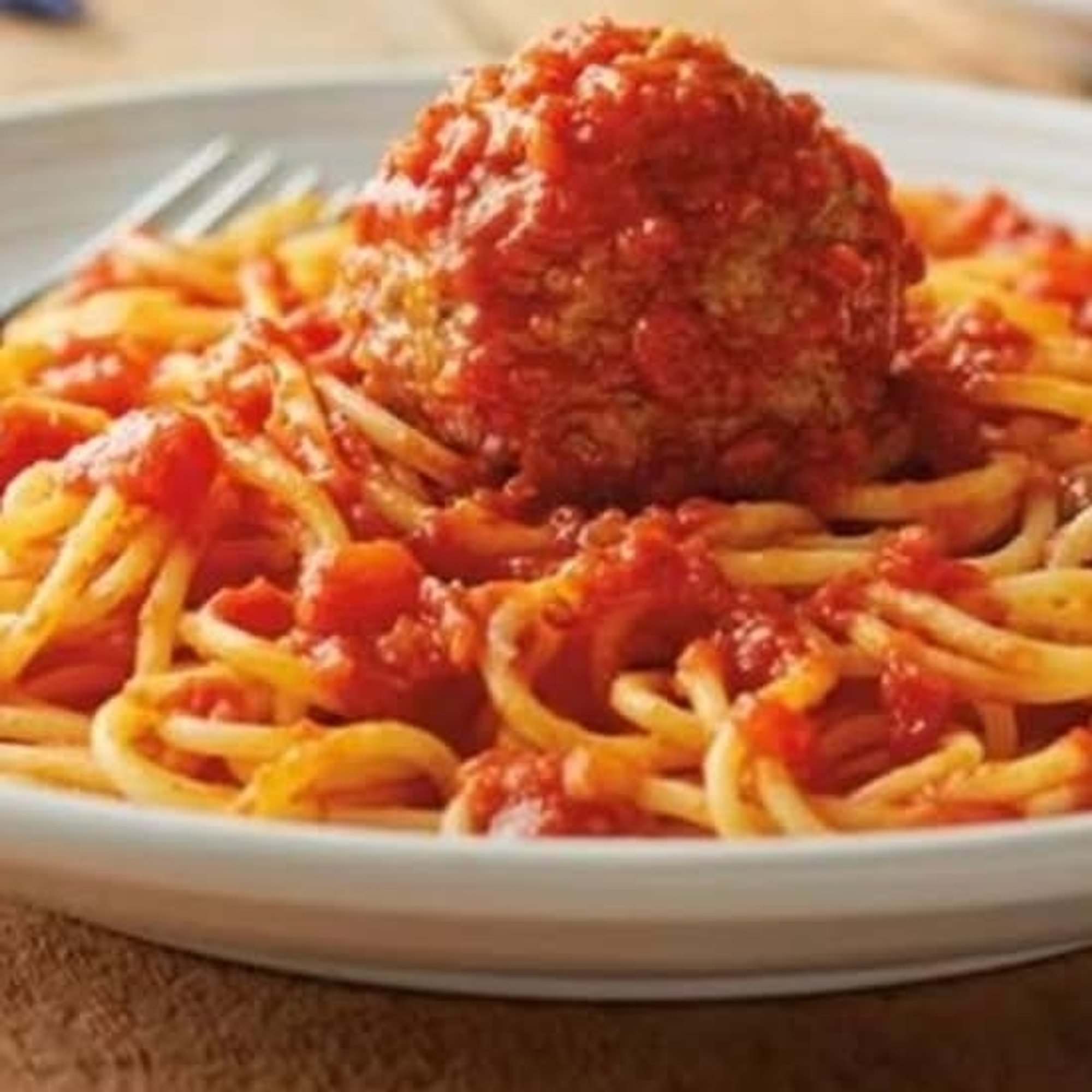 Spaghetti & One Meatball
