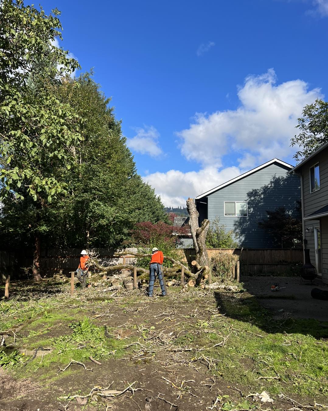 Alex's Quality Tree Service Image