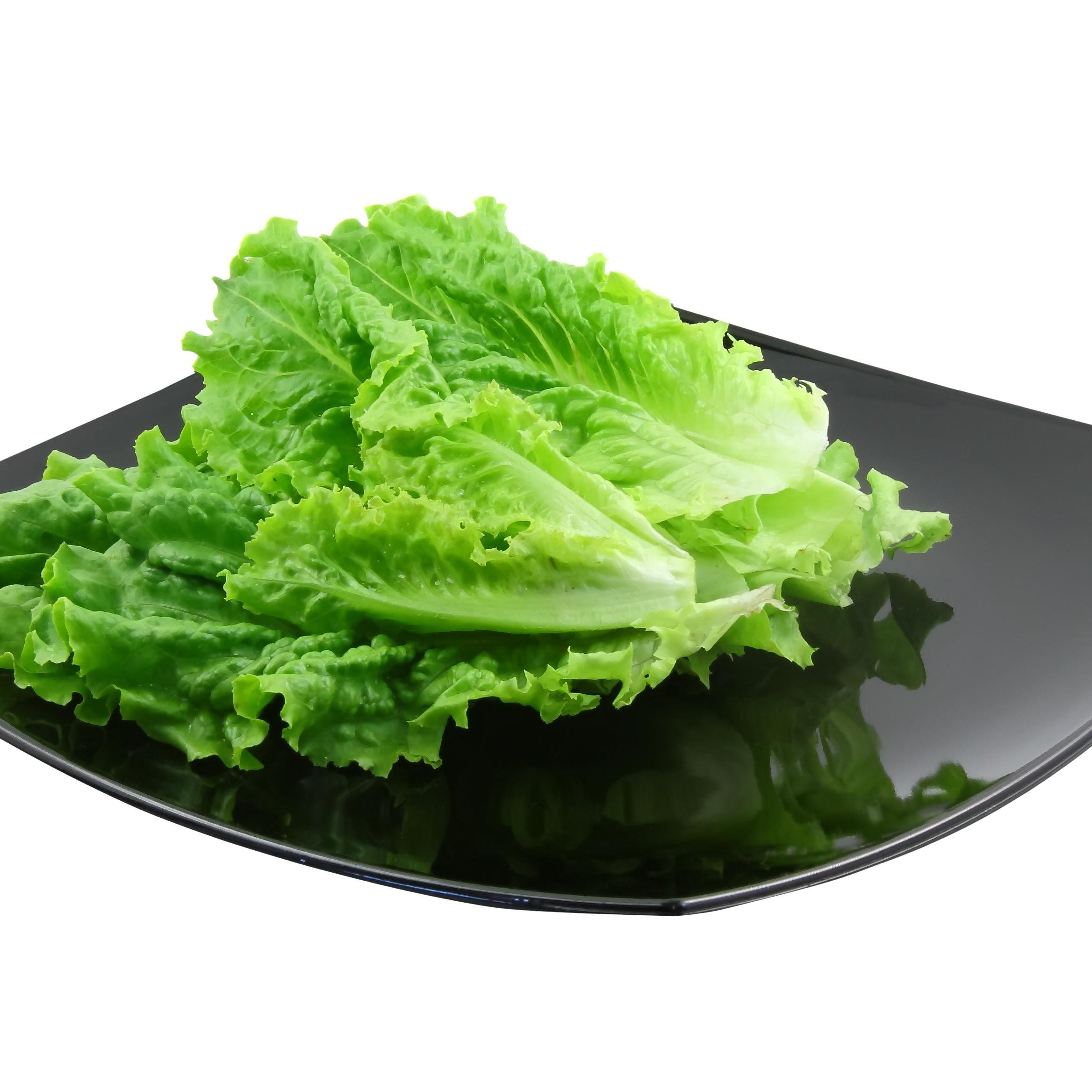 Lettuce