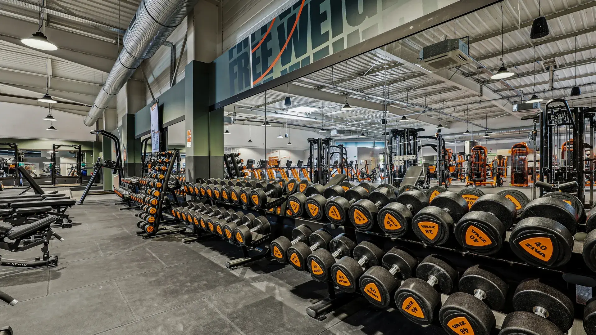 Miniature de la galerie