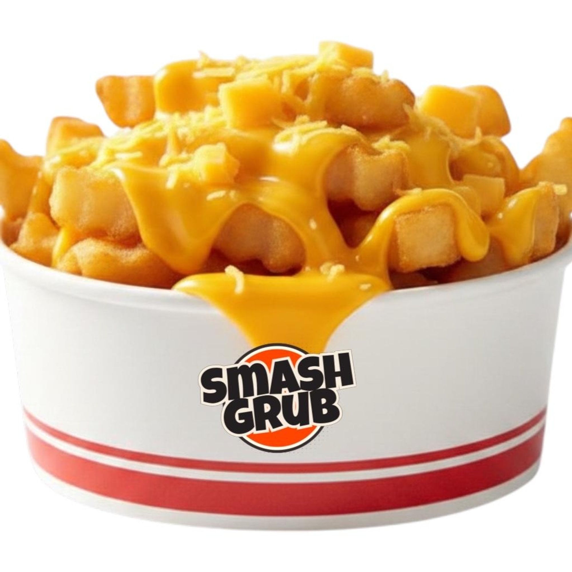 Cheese Fries 