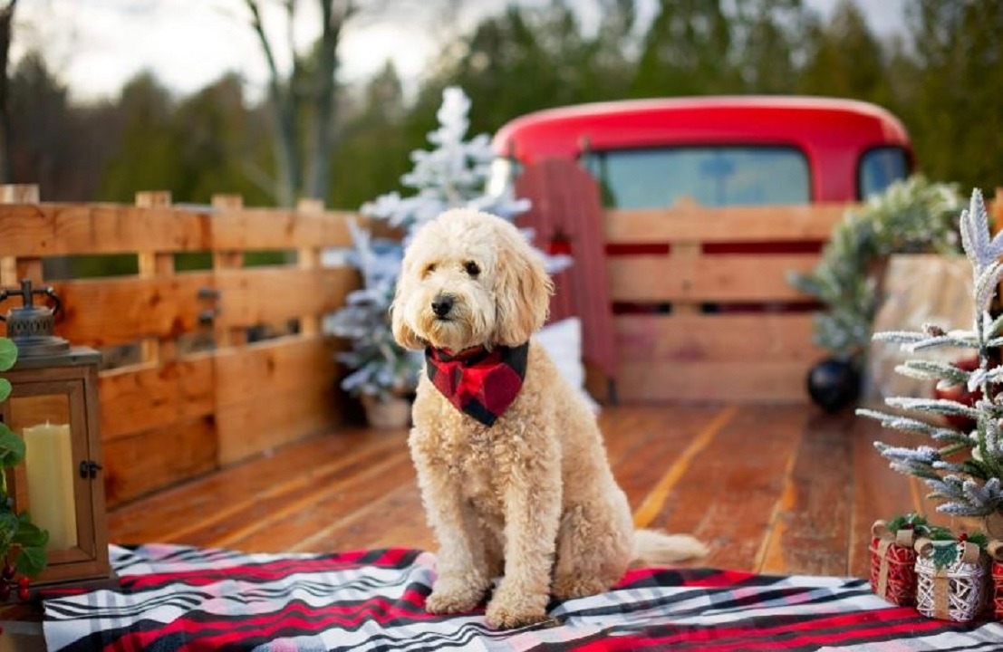 Kulak Nursery & Landscaping Image