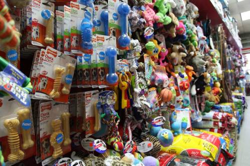 top 28 parrot store near me bird pet shops near me top 28 parrot store near me bird pet shops near me