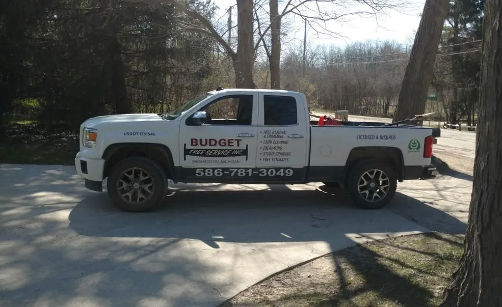 Budget Tree Service Logo