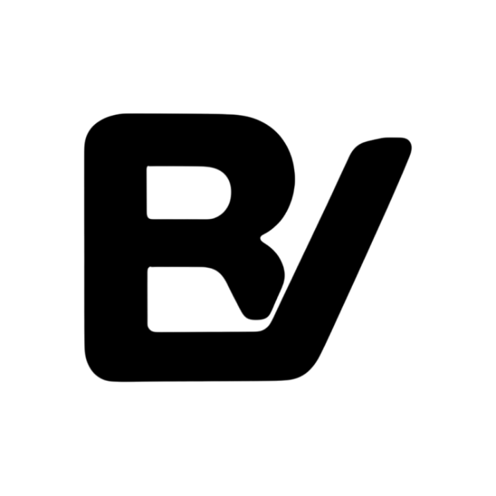 BwiseVerse Technology INC