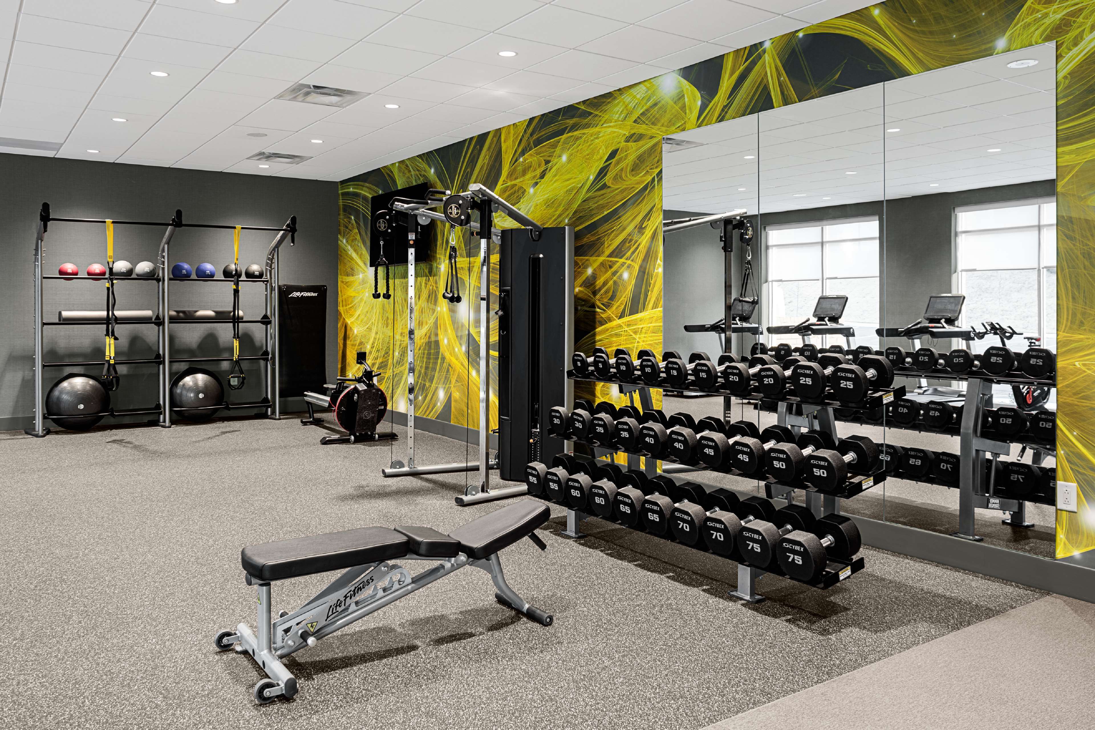 Health club  fitness center  gym