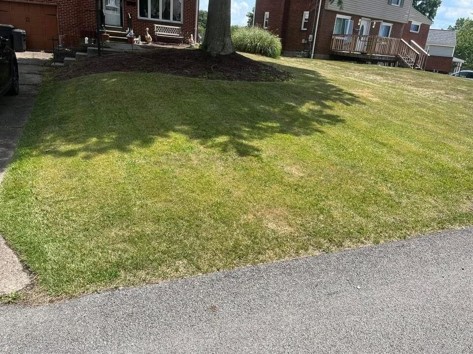 Gabriel Landscaping Image