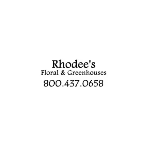 Rhodee Florist