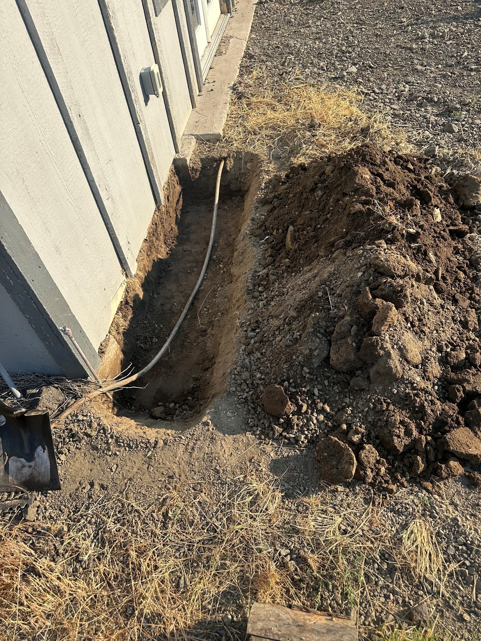 All Natural Pest Elimination Image